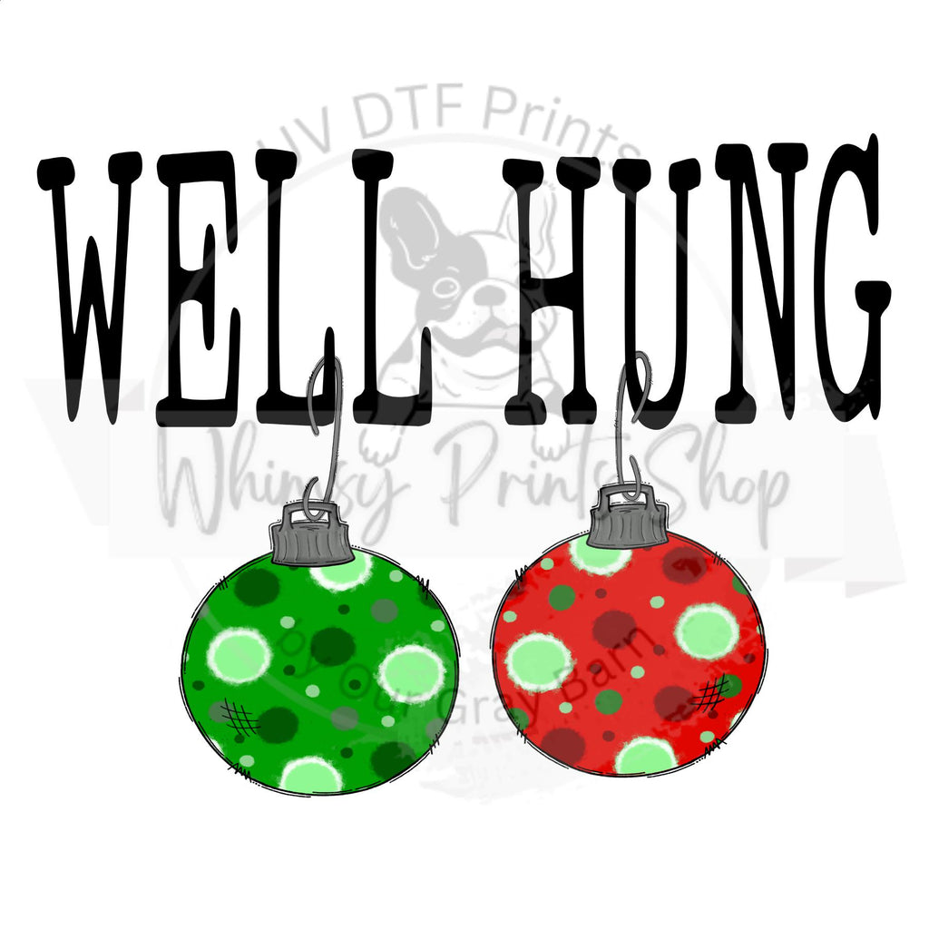 a pair of christmas ornaments with the words well hung